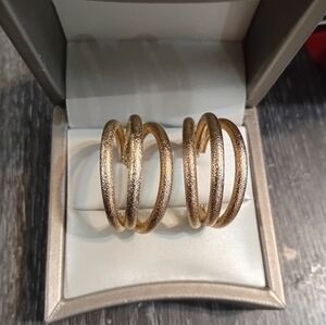 Elegant Gold Hoop Earrings
